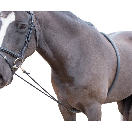 Shires Soft Lunging Aid