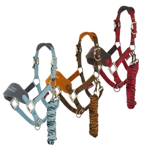 Lemieux Mini Vogue Headcollar & Leadrope