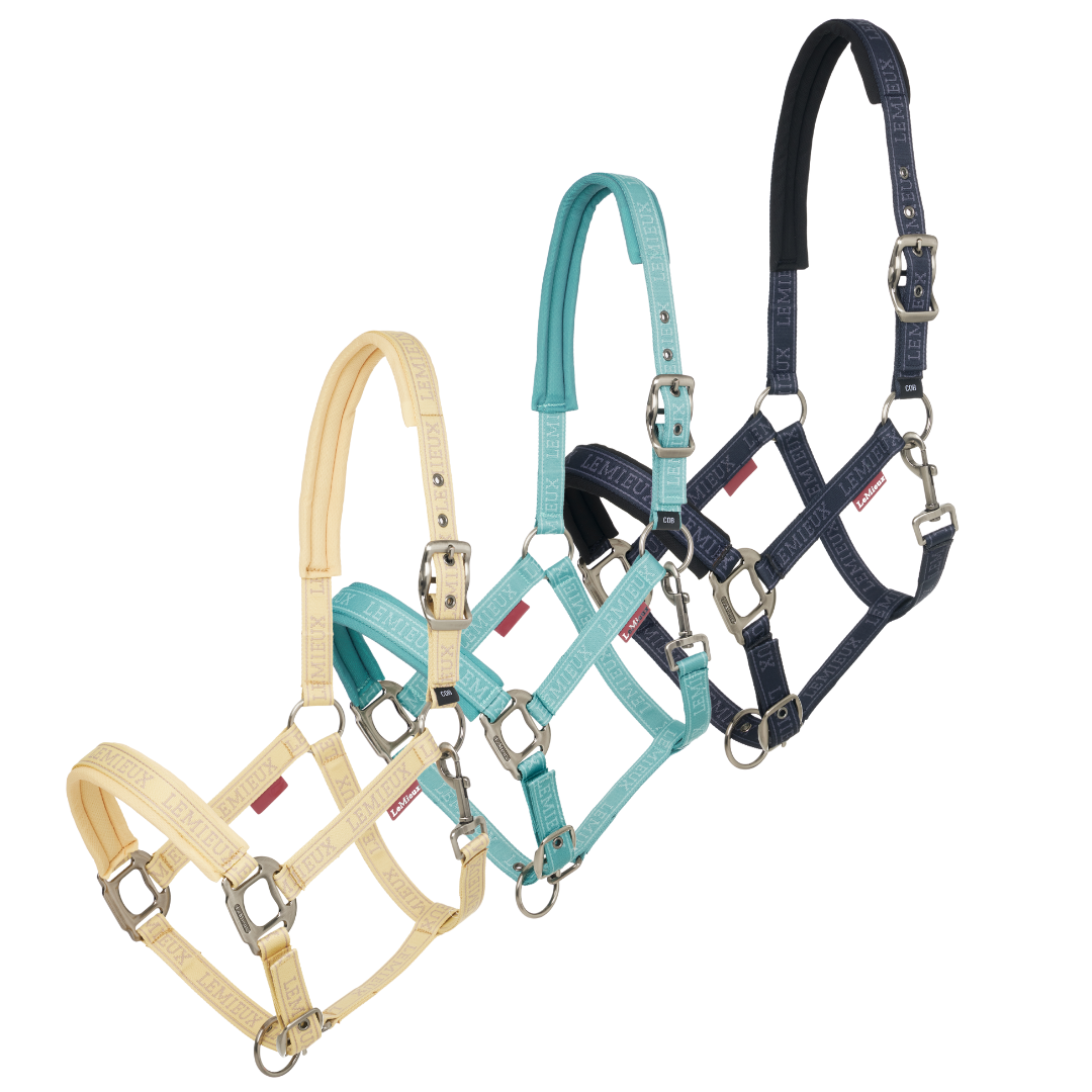 LeMieux Logo Headcollar SS25