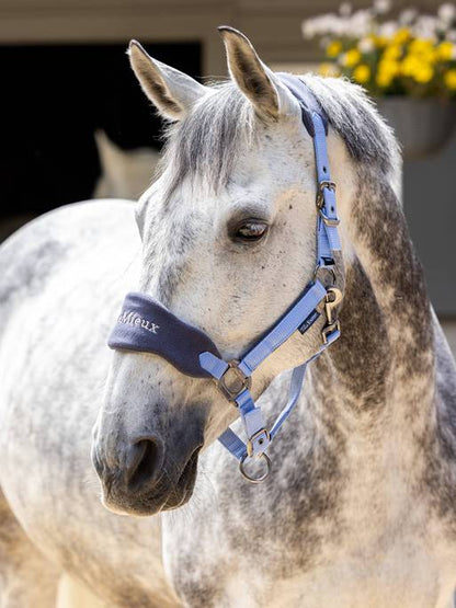 Esme Vogue Headcollar & Leadrope Limited Edition