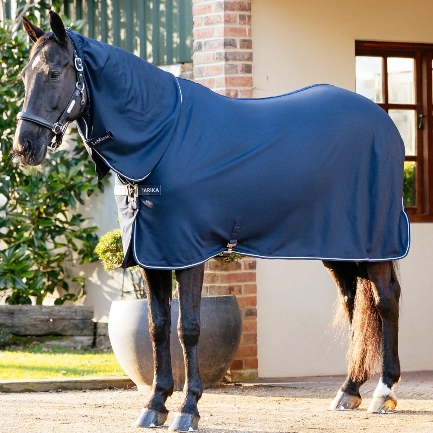 Lemieux Arika DryEase Rug Navy