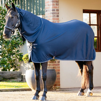 Lemieux Arika DryEase Rug Navy