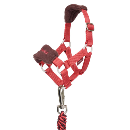 Lemieux Toy Pony Vogue Head Collars