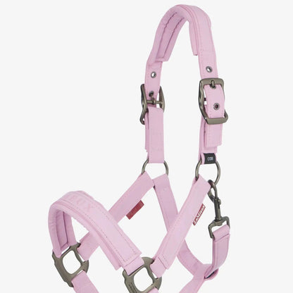 LeMieux Essence Headcollar SS25