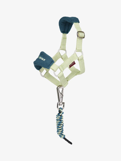 LeMieux Toy Pony Vogue Headcollar & Leadrope