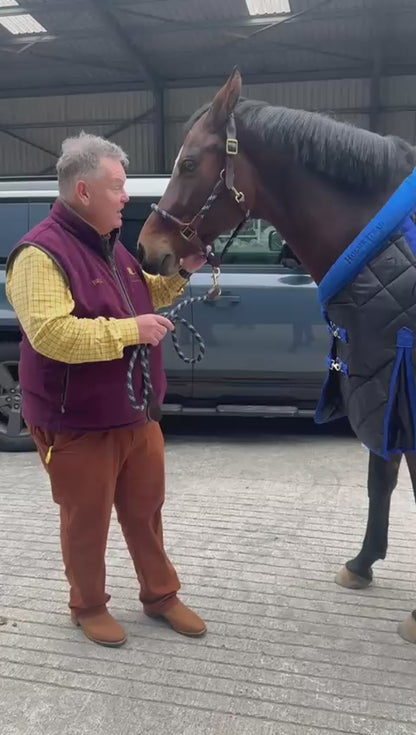 Holmestead Lux Stable Rug 350g