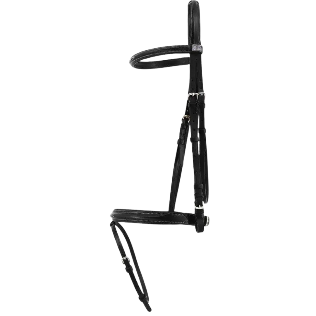 Stationata Fancy Bridle