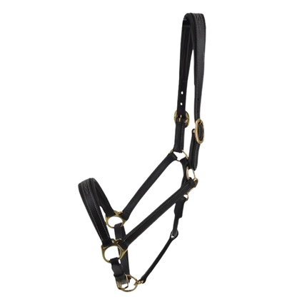 Stationata Fashion Leather Headcollar