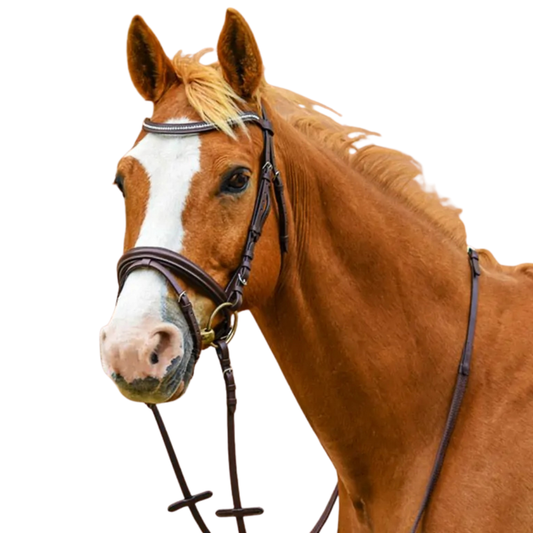 Stationata Glossy Bridle with Reins