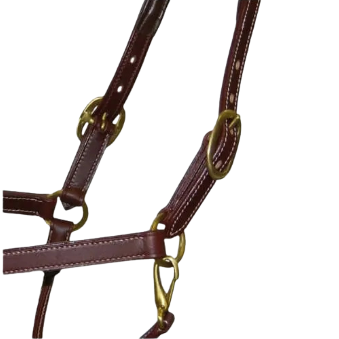 Stationata Fashion Leather Headcollar