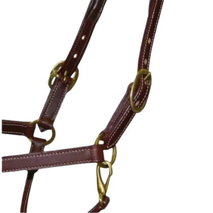 Stationata Fashion Leather Headcollar