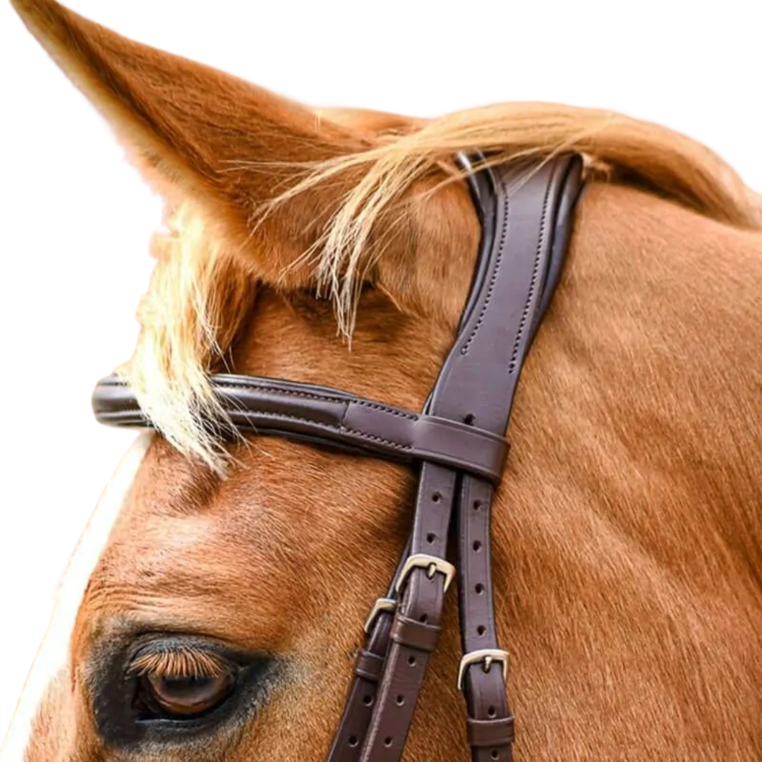 Stationata Soft Leather Snaffle  Bridle-Crank Noseband