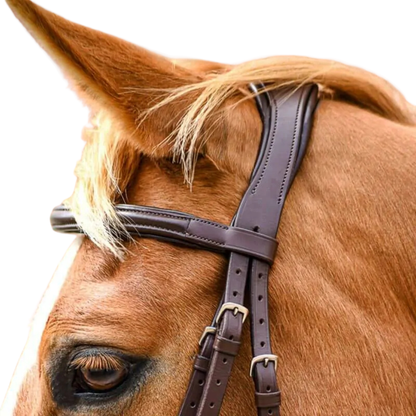 Stationata Soft Leather Snaffle  Bridle-Crank Noseband