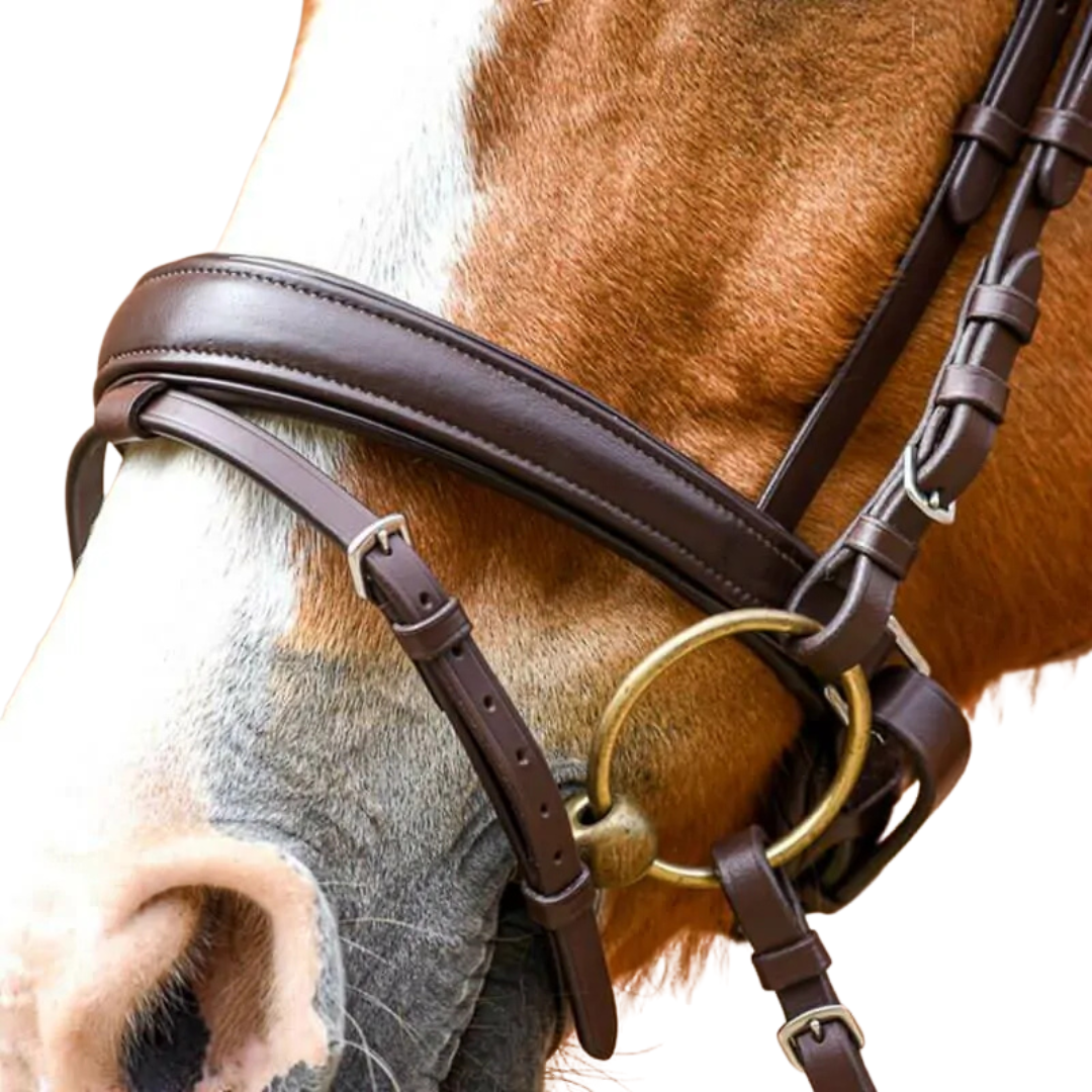 Stationata Soft Leather Snaffle  Bridle-Crank Noseband