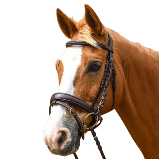 Stationata Soft Leather Snaffle  Bridle-Crank Noseband