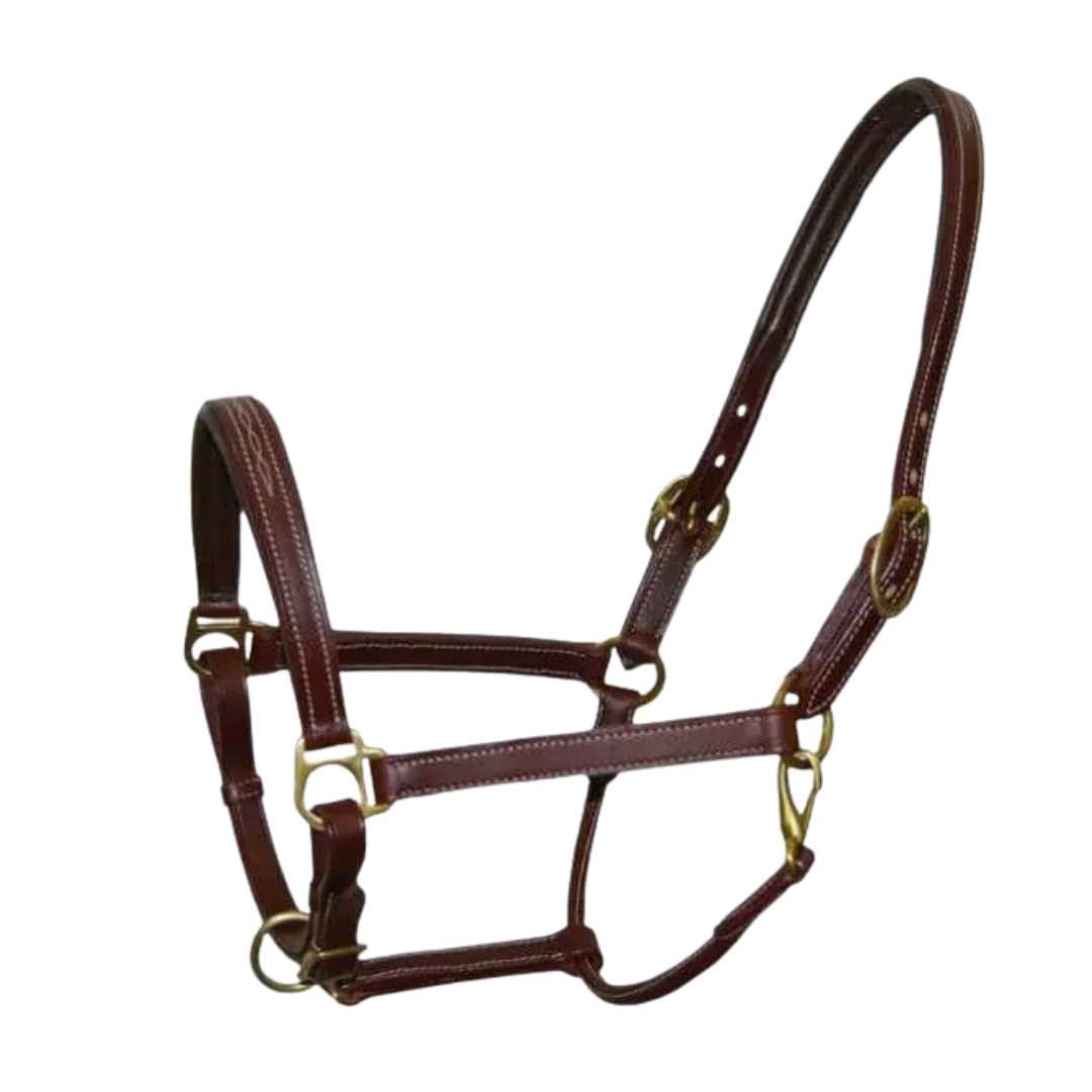 Stationata Fashion Leather Headcollar
