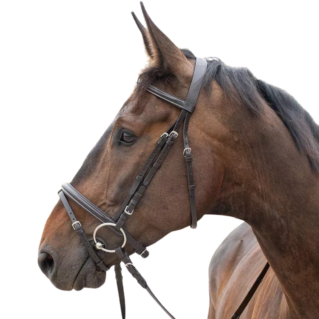 Horse&Go Combined Noseband Bridle