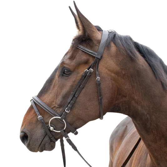 Horse&Go Combined Noseband Bridle