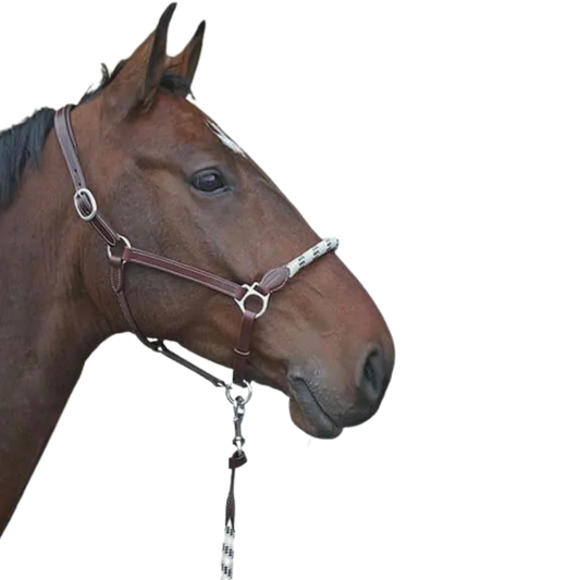 Stationata leather Rope headcollar