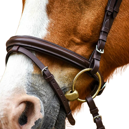 Stationata Glossy Bridle with Reins
