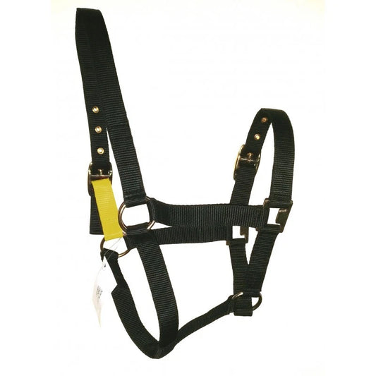 Holmestead Nylon Field Safe Headcollar