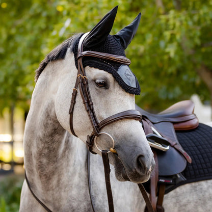 Horse wearing a bridle with a black fly mask in an outdoor setting
