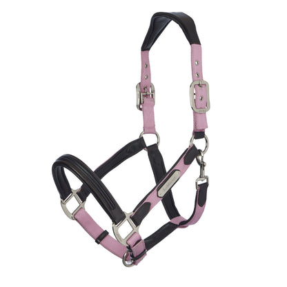LeMieux Capella Headcollar